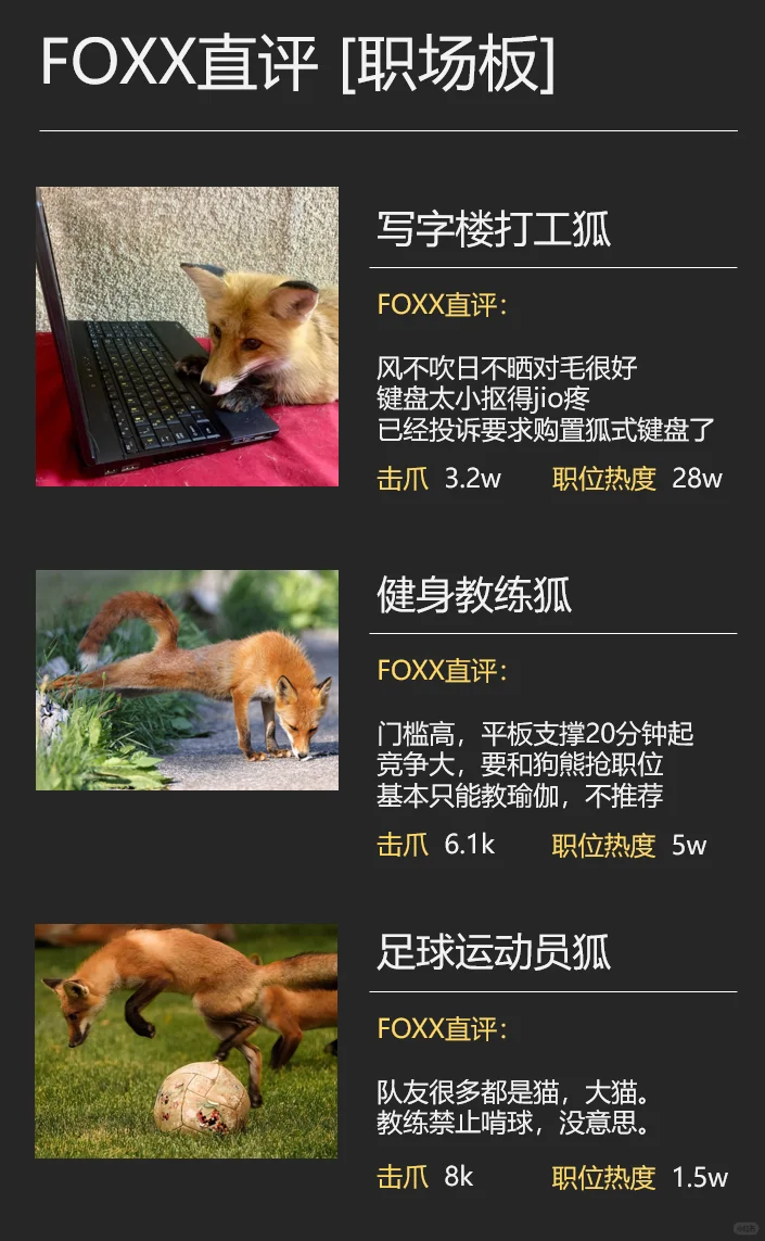 给狐狐开发了一个FOXX直聘