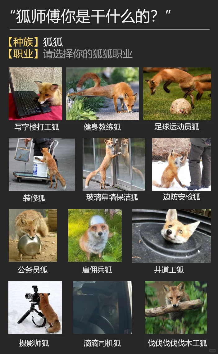 给狐狐开发了一个FOXX直聘