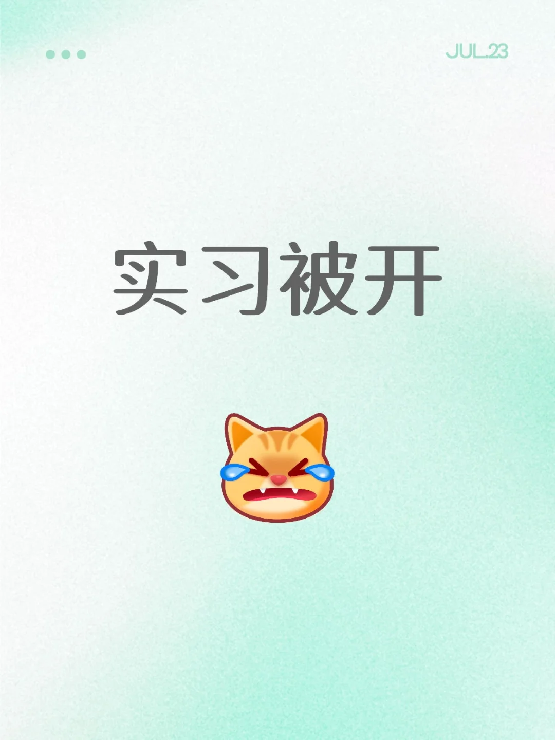 实习被开
