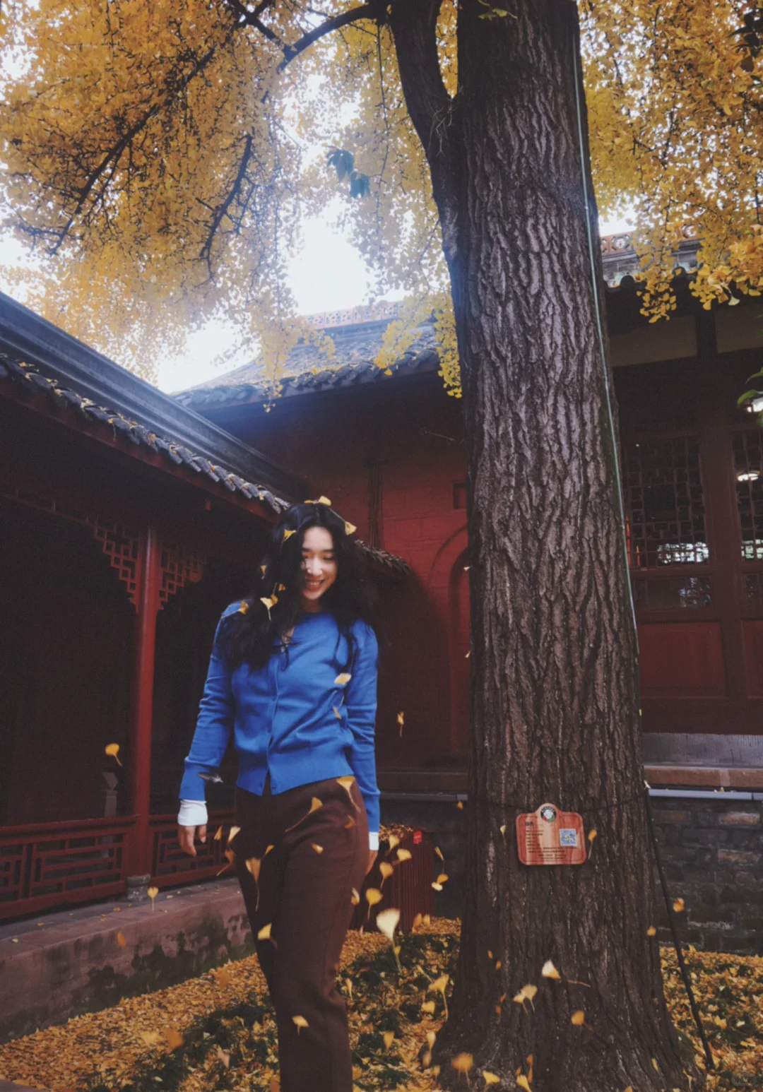 三十岁又怎样，四十岁又何妨