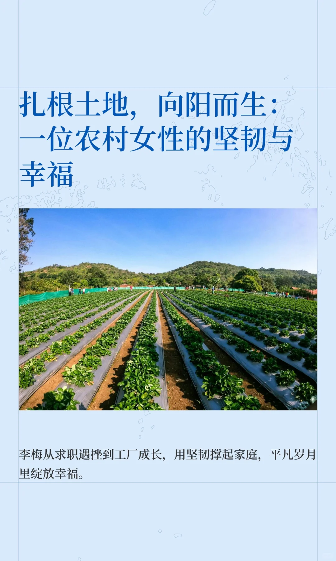 扎根土地，向阳而生：一位农村女性的坚韧与