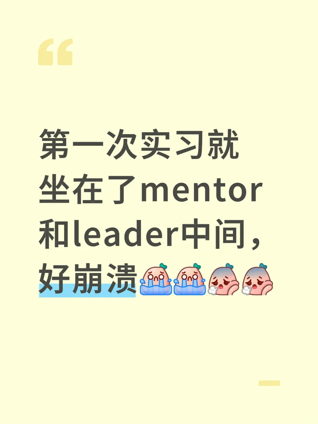 第一次实习就坐在了mentor和leader中间