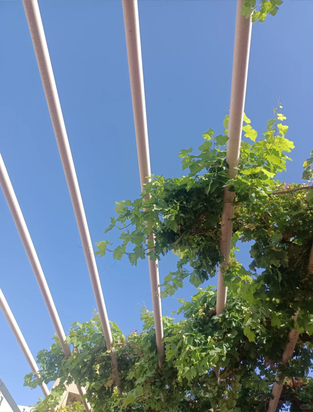应届生刚工作受窝囊气