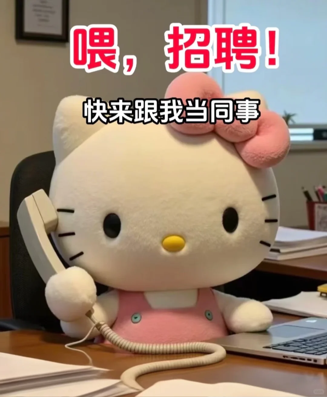 快来当同事！🐱人事岗！！！到点就走
