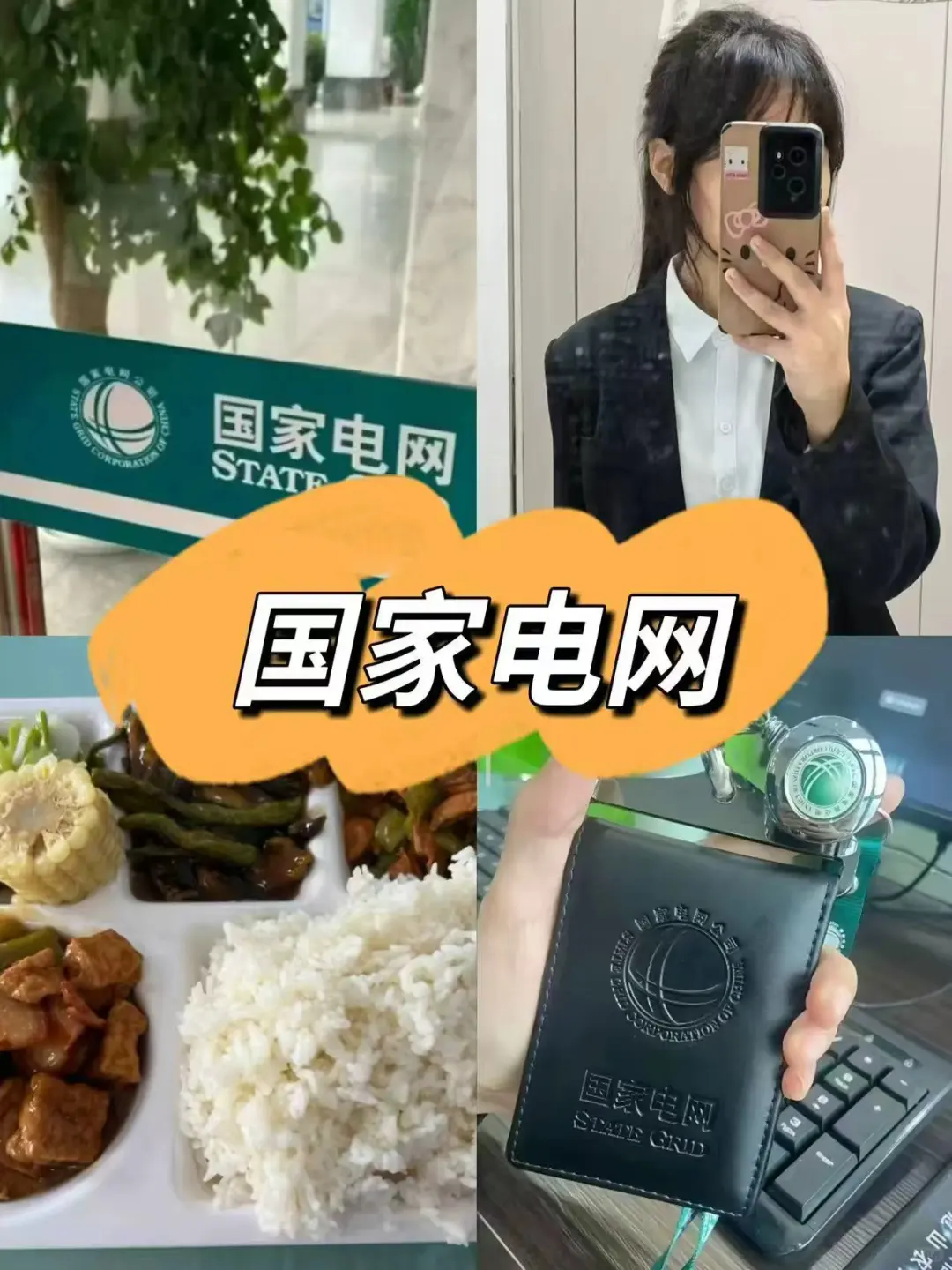 三无没背景的普通女生都是怎么进电网的
