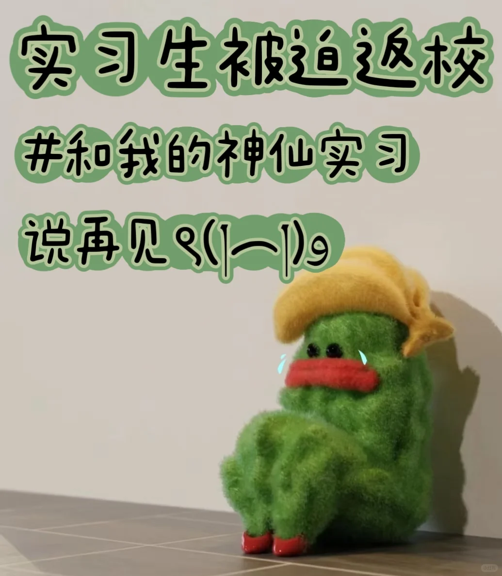 🎓实习生返校啦！和我的神仙实习说再见