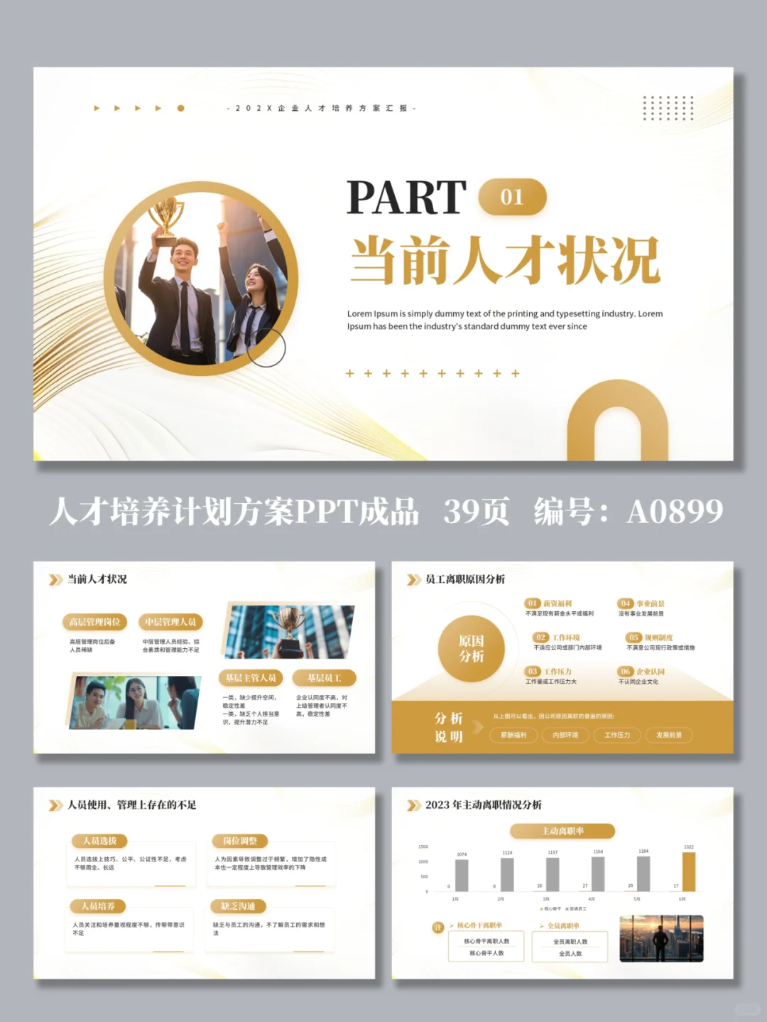 企业人才培养计划方案汇报PPT成品