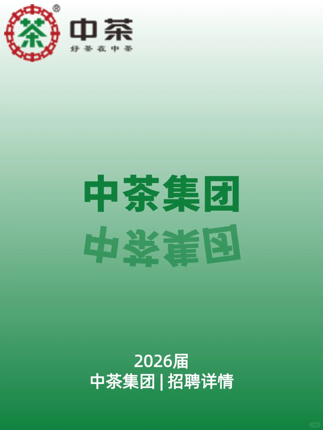 中茶集团捞人计划开启，应届速看！！！