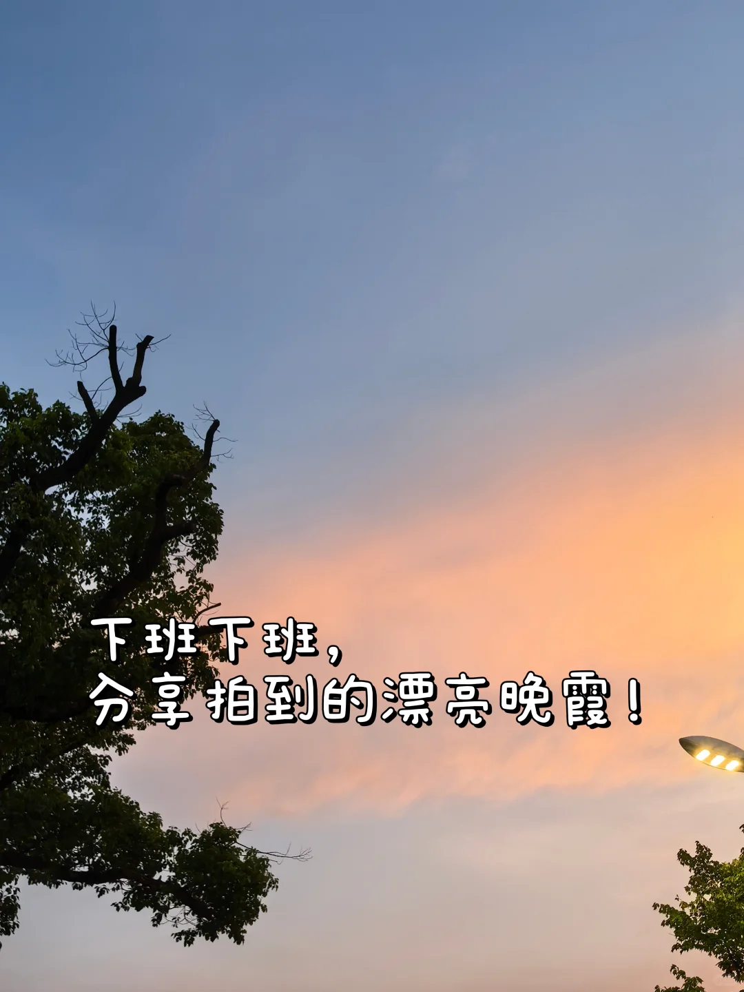 英专实习日常｜“浓浓的班味和淡淡的我”