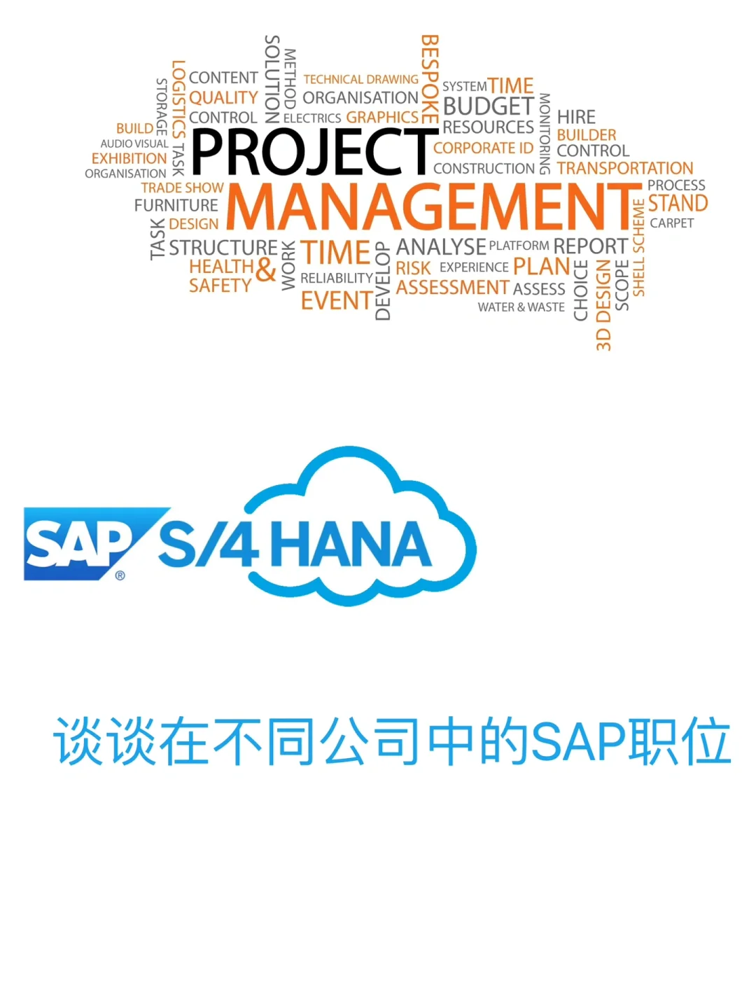 谈谈在不同公司中的SAP职位