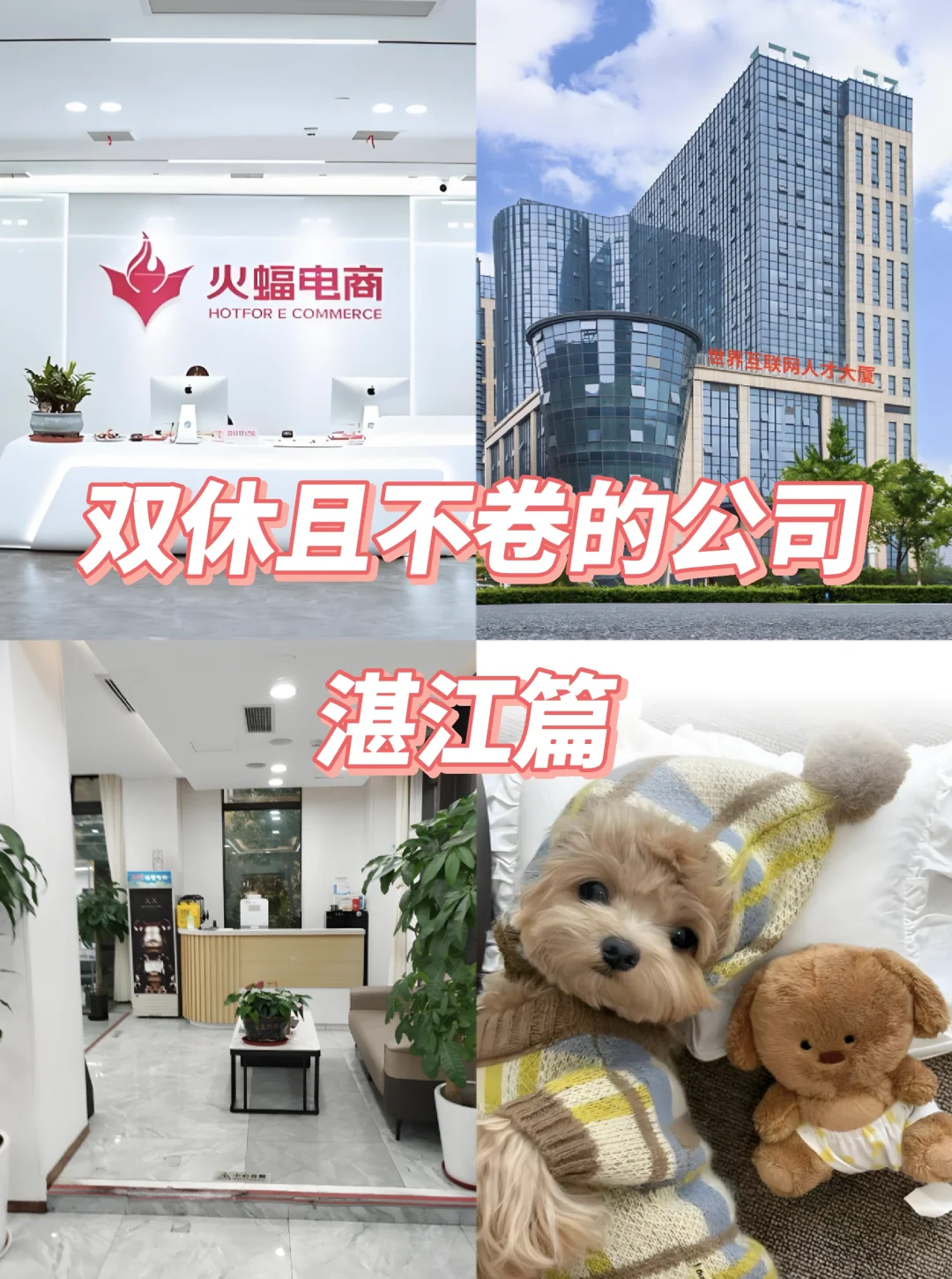 湛江双休不卷公司！这12家直接冲！🔥