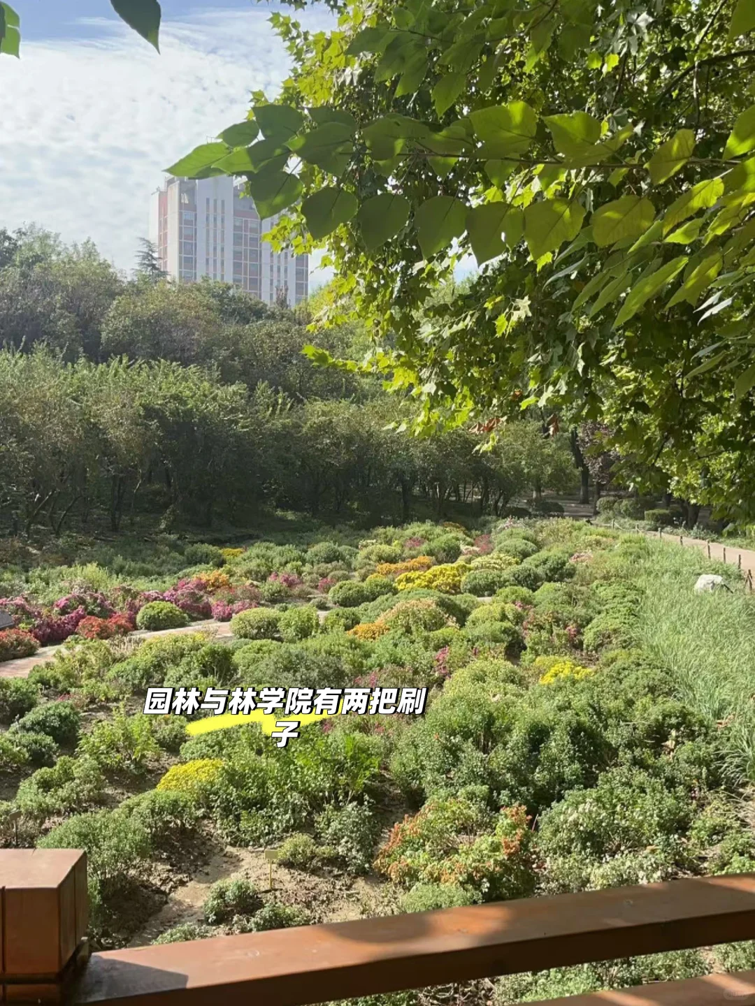 毕业8年回母校，发现只有我一个人在搞农业
