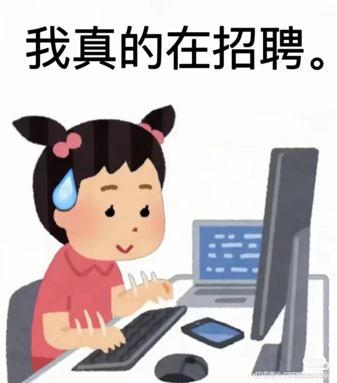 我真的在招人快来加入我们吧！