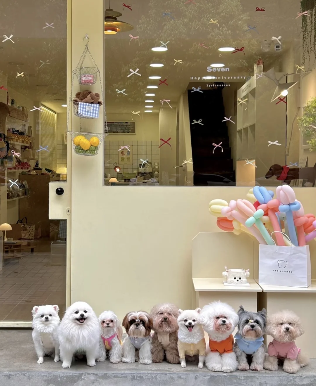 宠物店招聘啦！