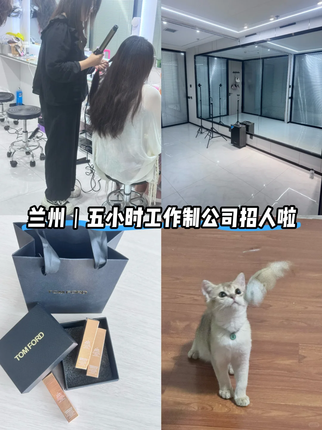 兰州丨五小时工作制公司招人啦