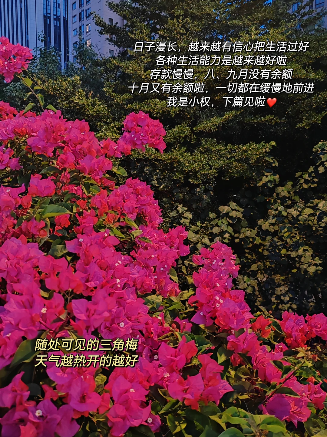 月薪8K攒钱，日子漫漫存钱慢慢的生活