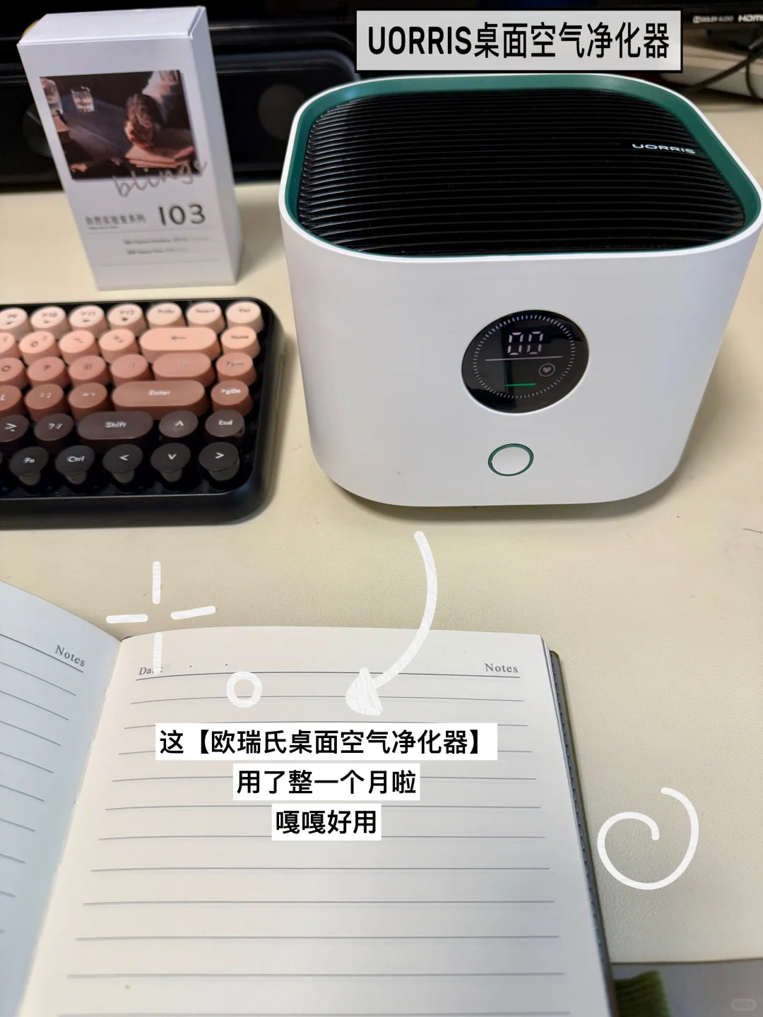 职场人｜在五险一金的工作里当好配角