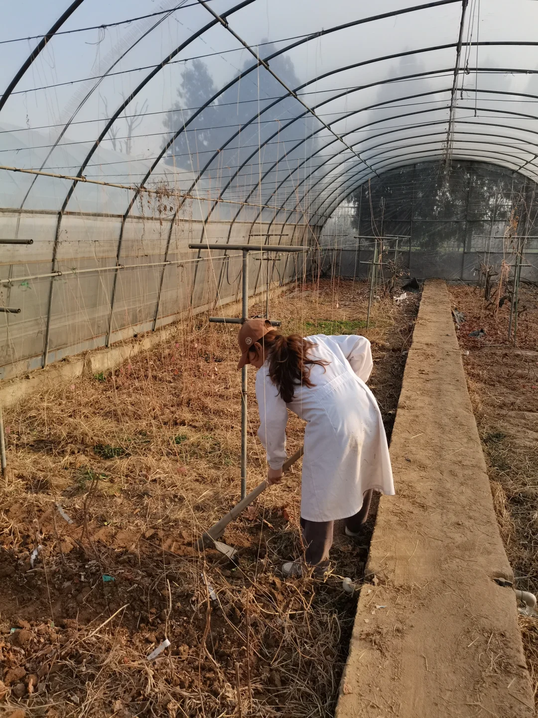 🌾农业硕士血泪坦白局：从实验室到深圳CBD