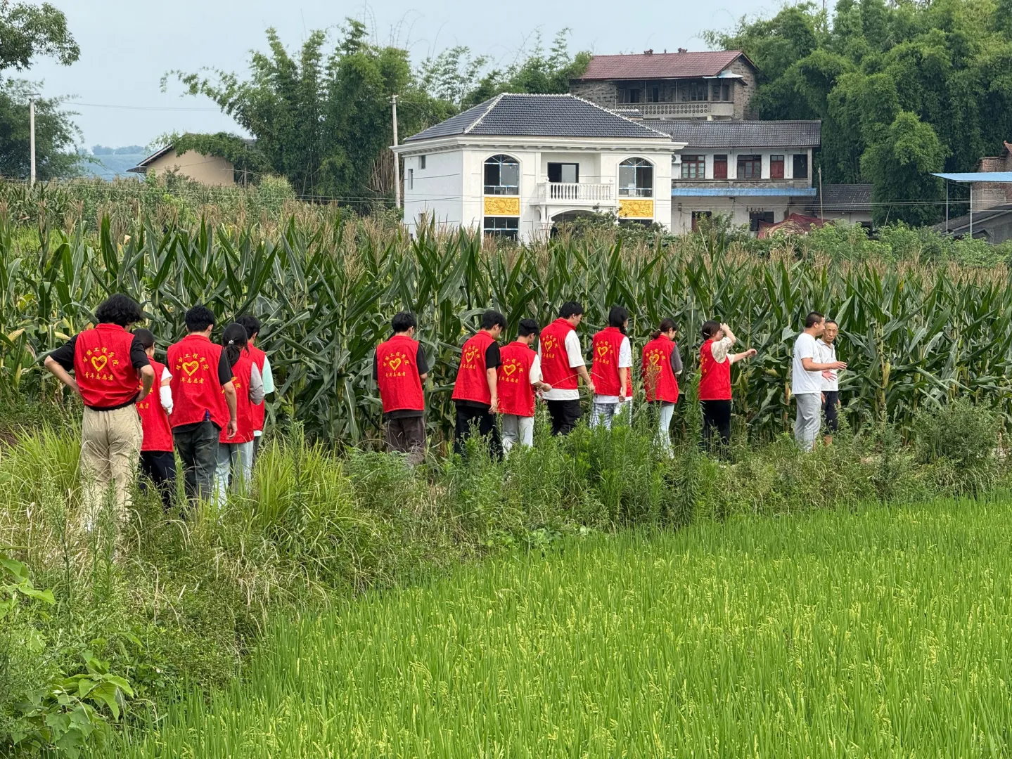 科技赋能田间地头，实干托起乡村未来