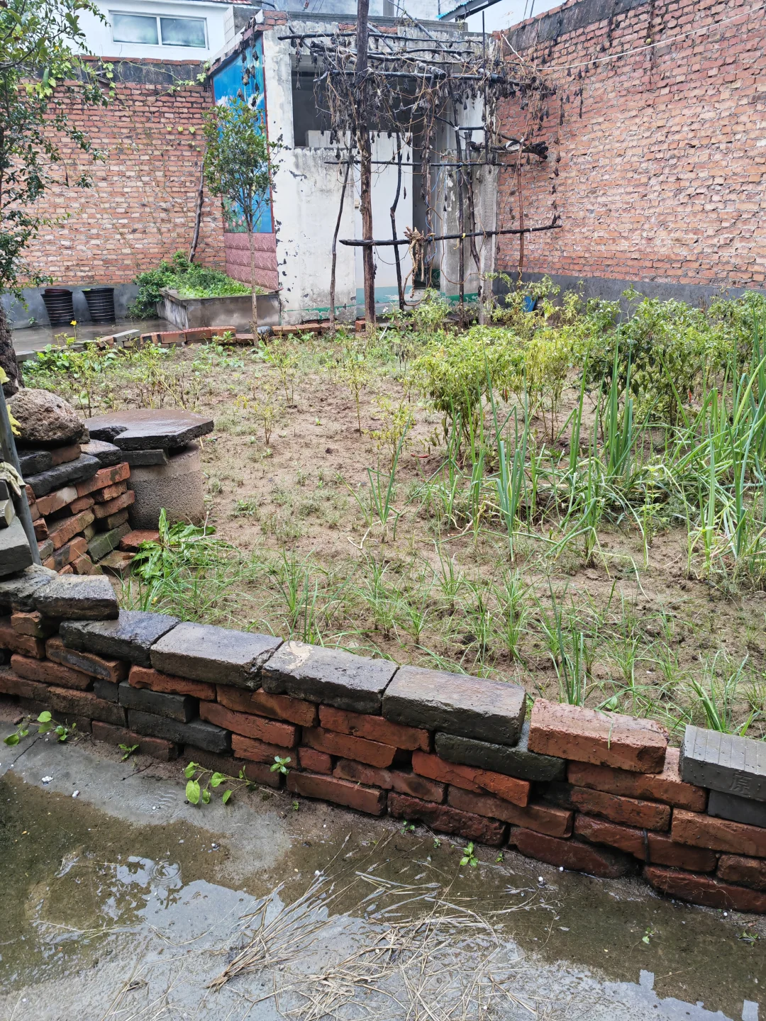 0经验面试稀缺岗位 | 海外运营篇（二）