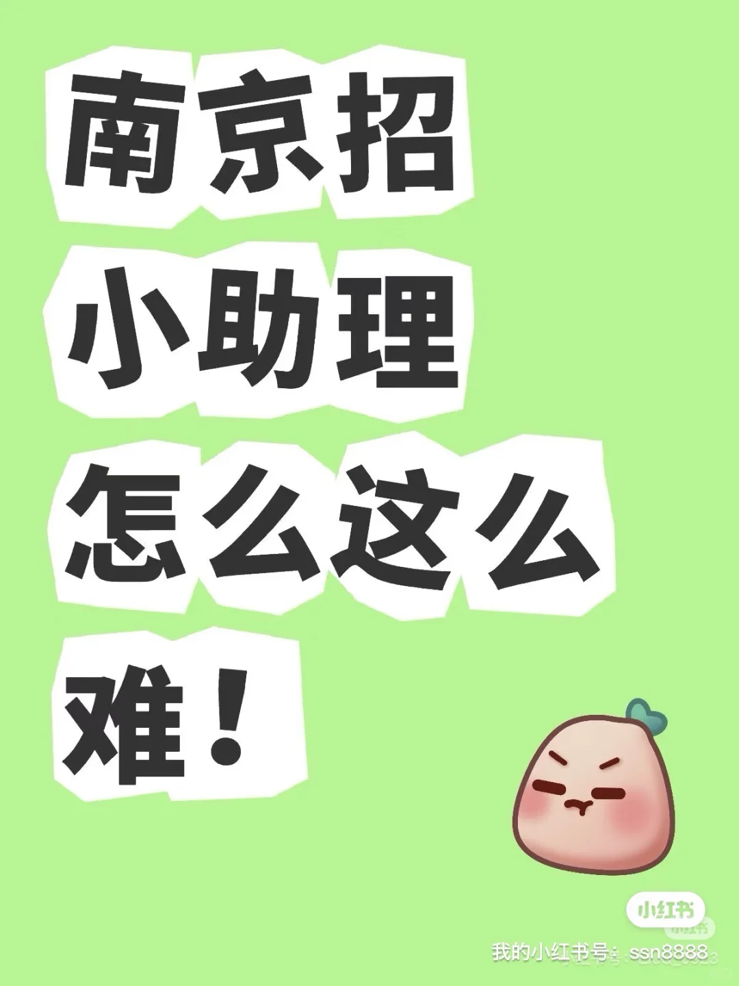南京急招一位“全能生活管家”！月薪1w2