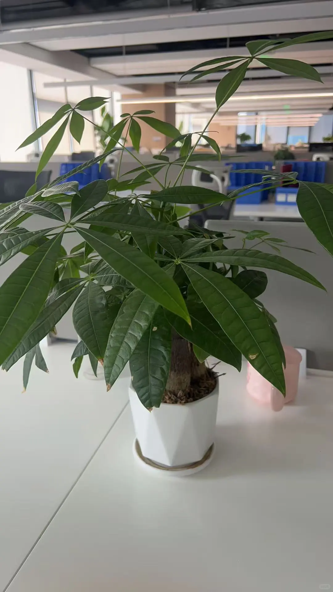 招！聘！【大学招生老师】有没有找工作的呀