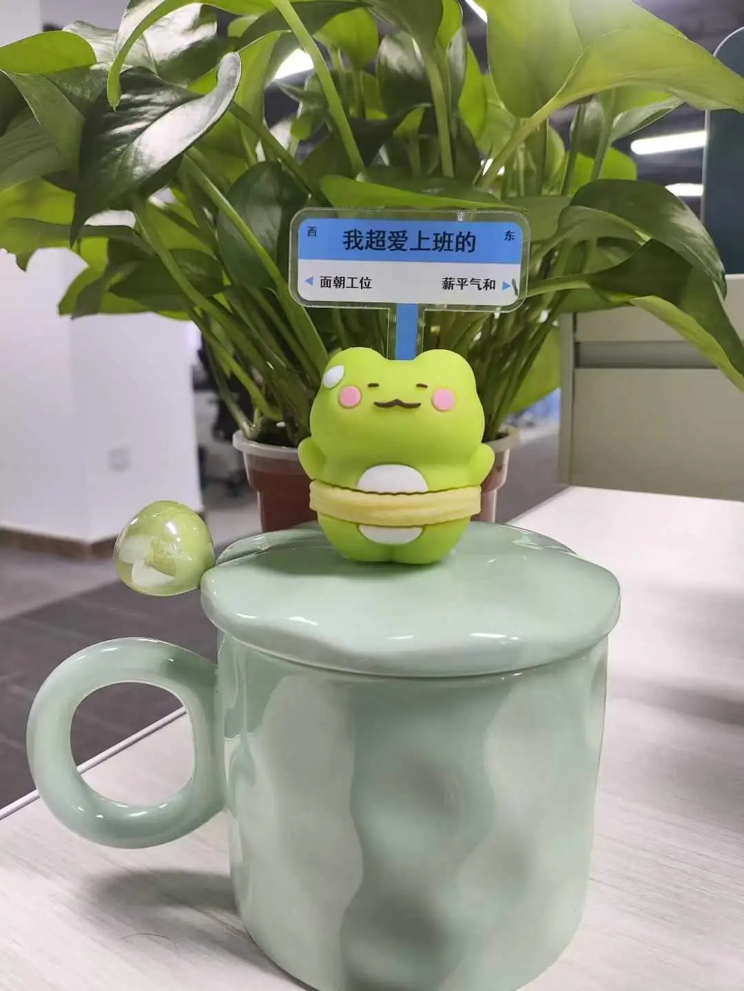 不想进厂的来看
