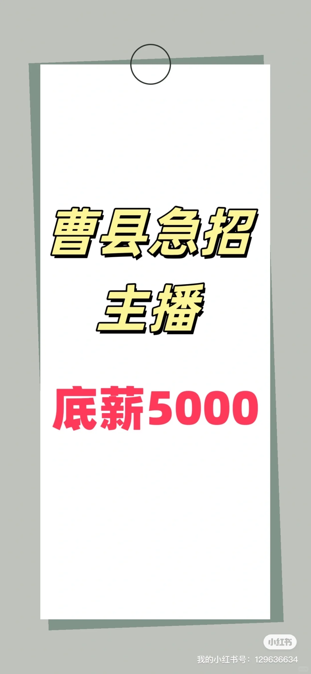 曹县急招宠物猫主播
