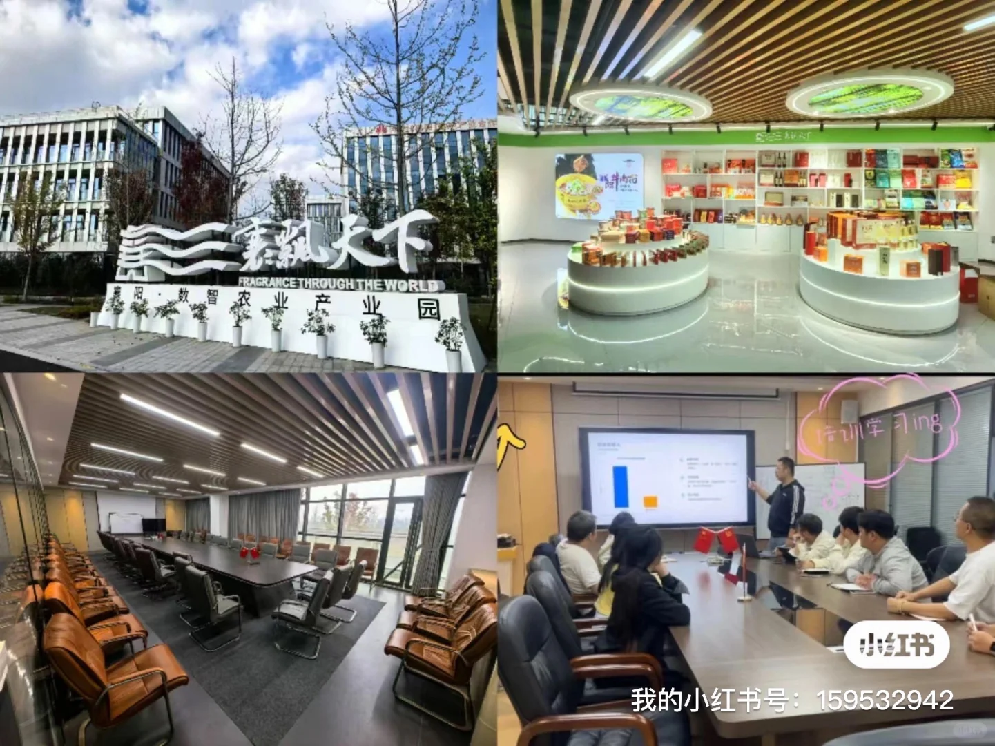 招聘主播 欢迎加入我们