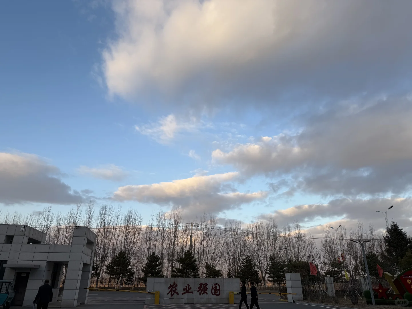 农大读博ll 20多岁终于有了自己的试验田