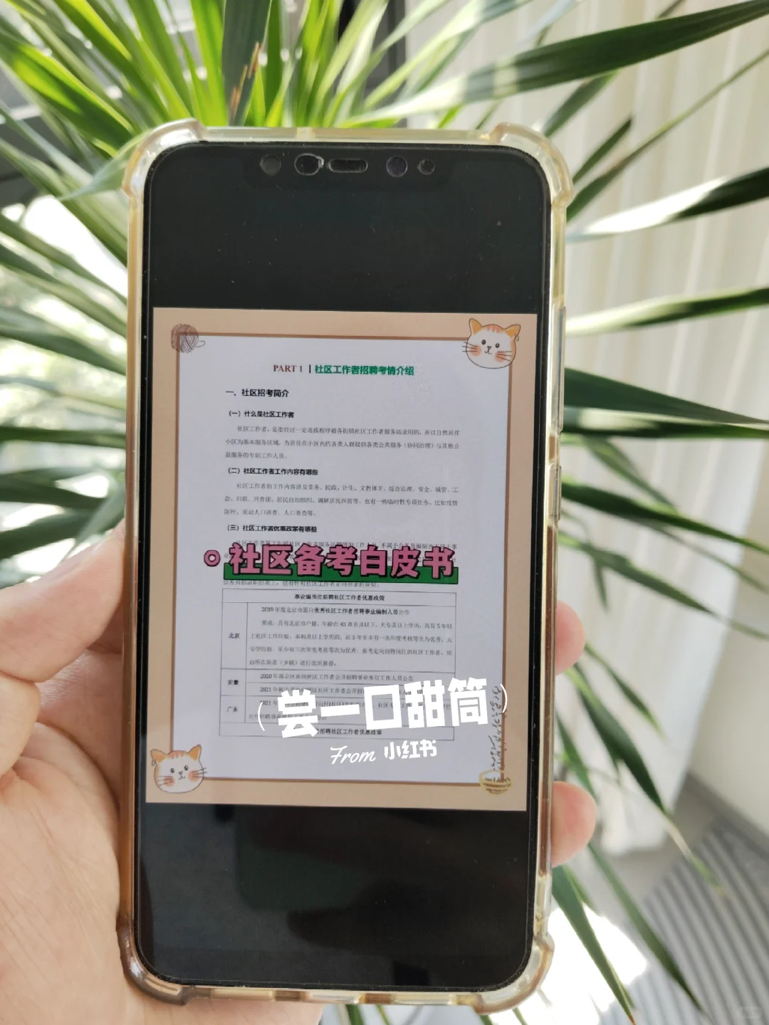 提醒一下，10.13报名邢台信都区社区的人