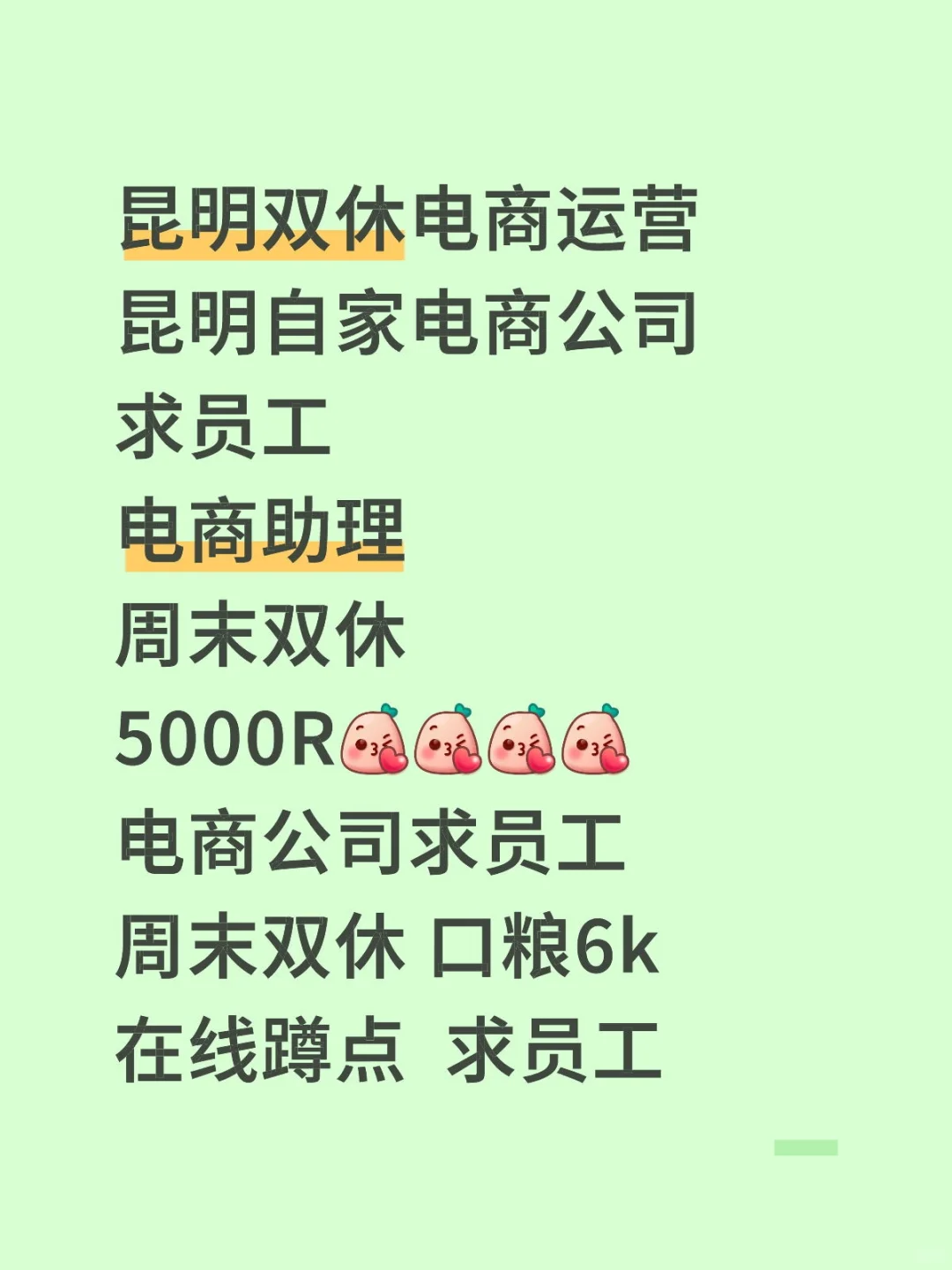 昆明双休运营助理