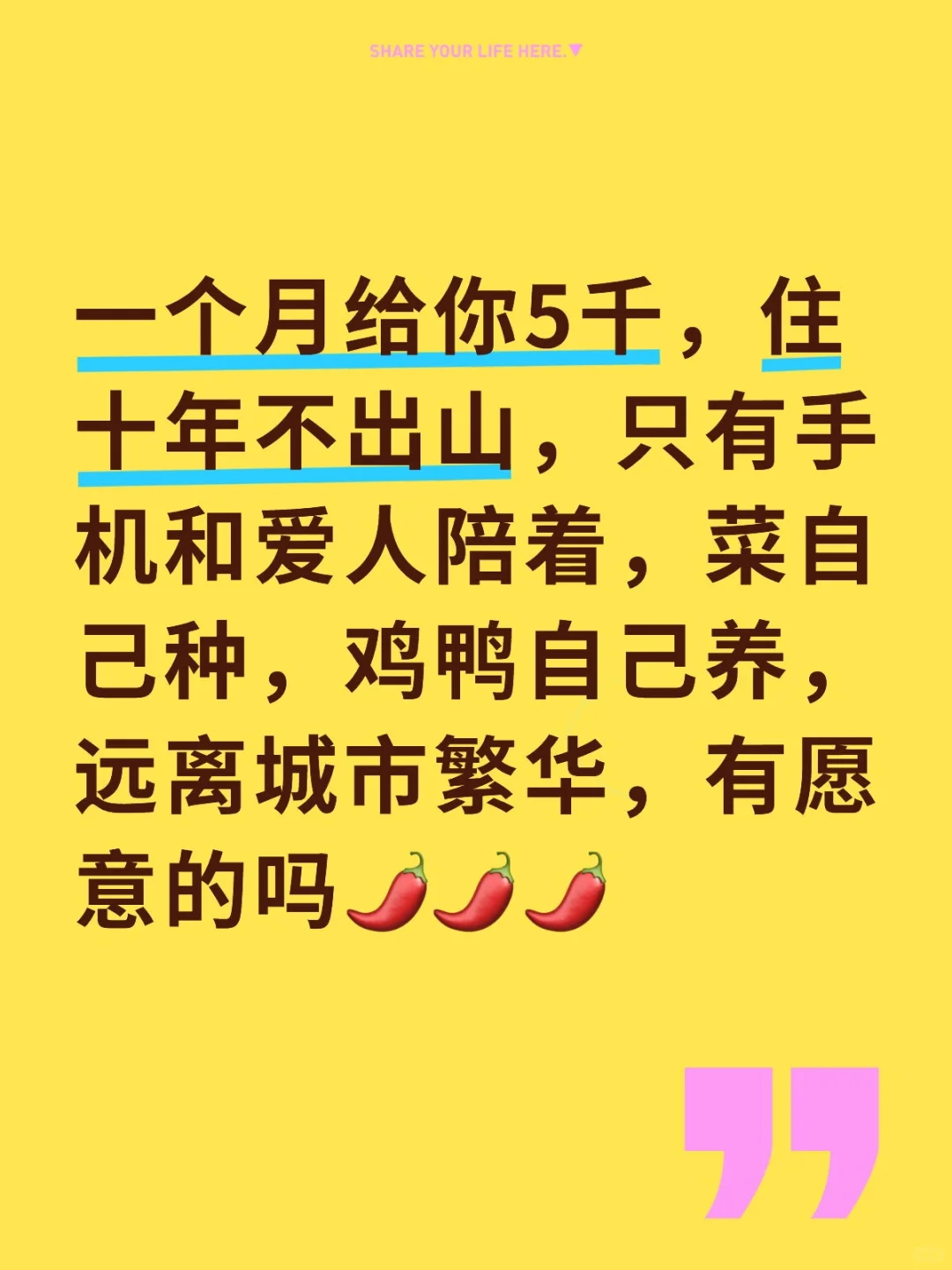 城市套路深