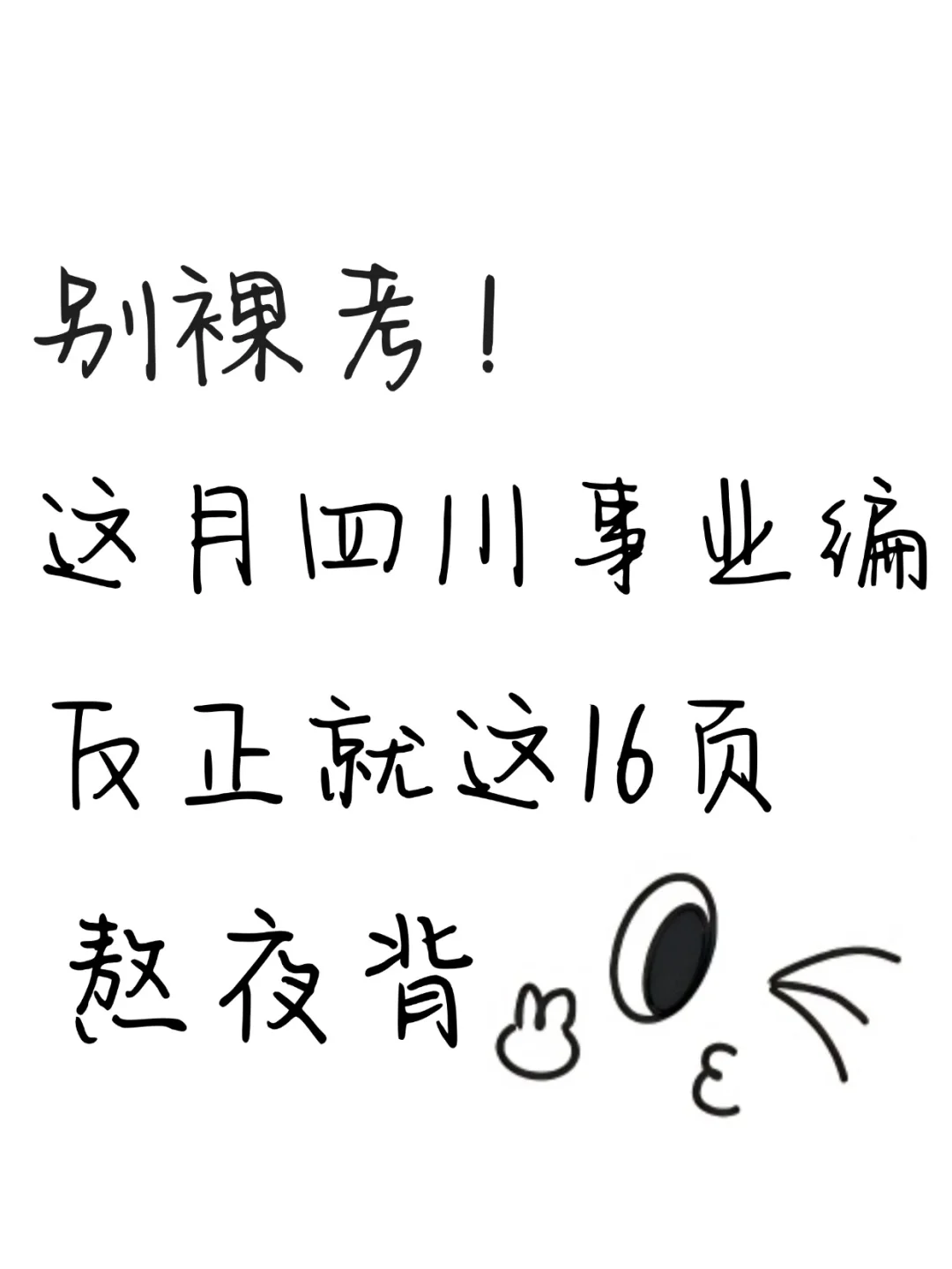 别裸考，四川事业编反正就这16页