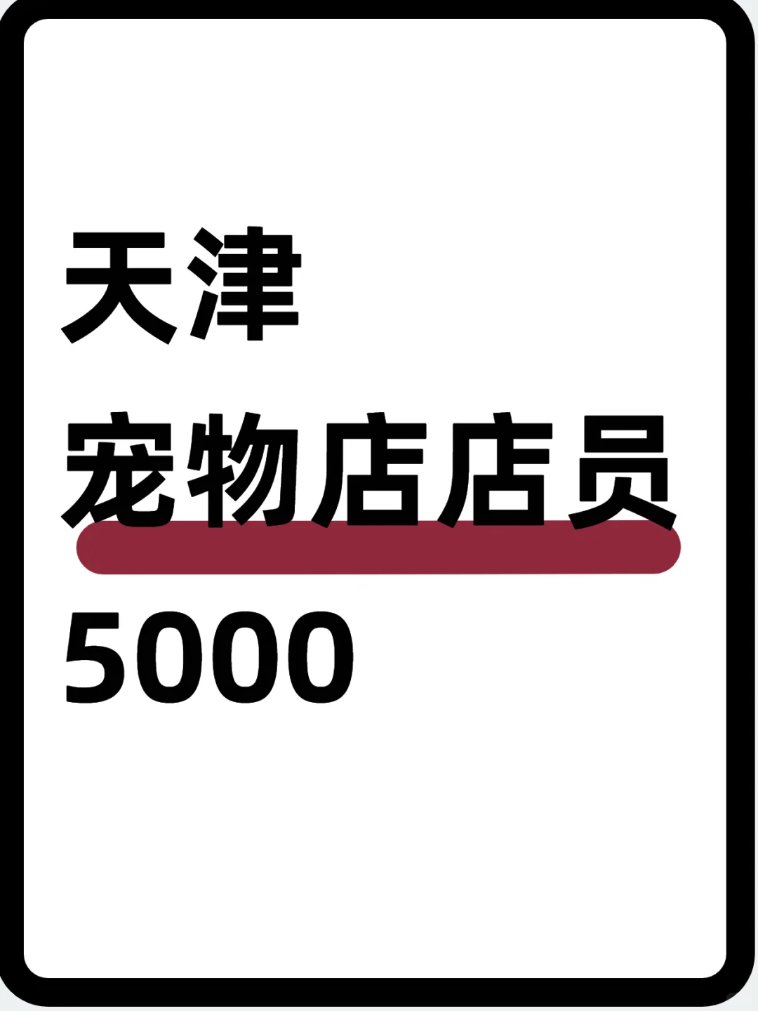 天津宠物店店员～5000，撸宠上班超治愈🐾