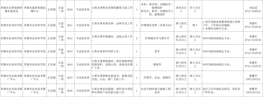 湖北孝感人才引进
