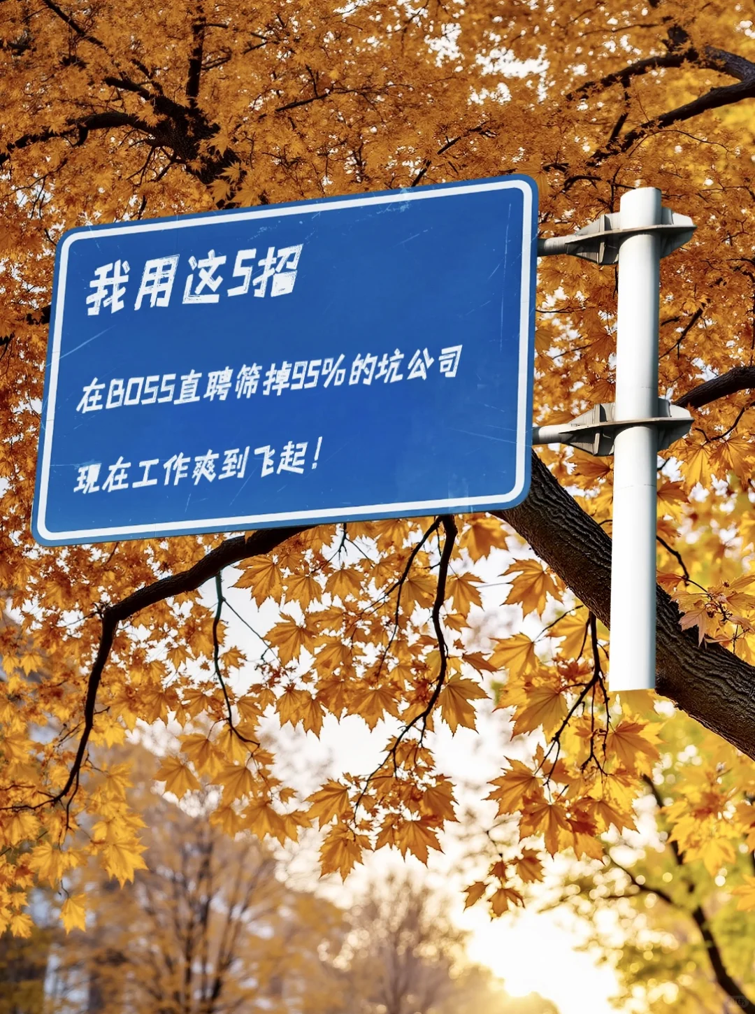 🔥在BOSS直聘靠这5招，坑公司都绕着走