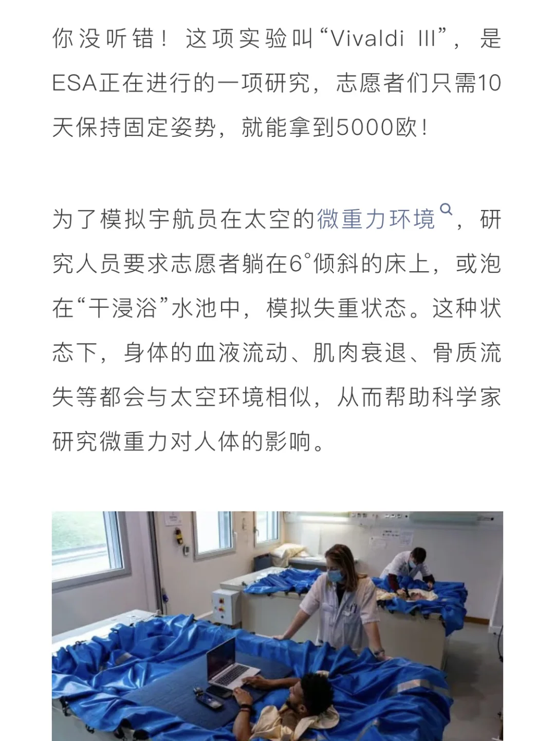 真·躺平赚钱