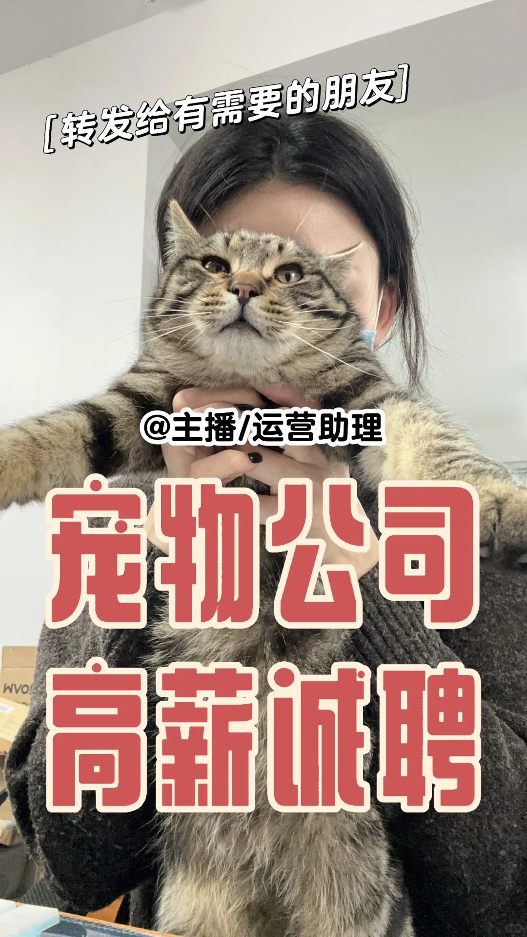 宠物公司 内部直聘