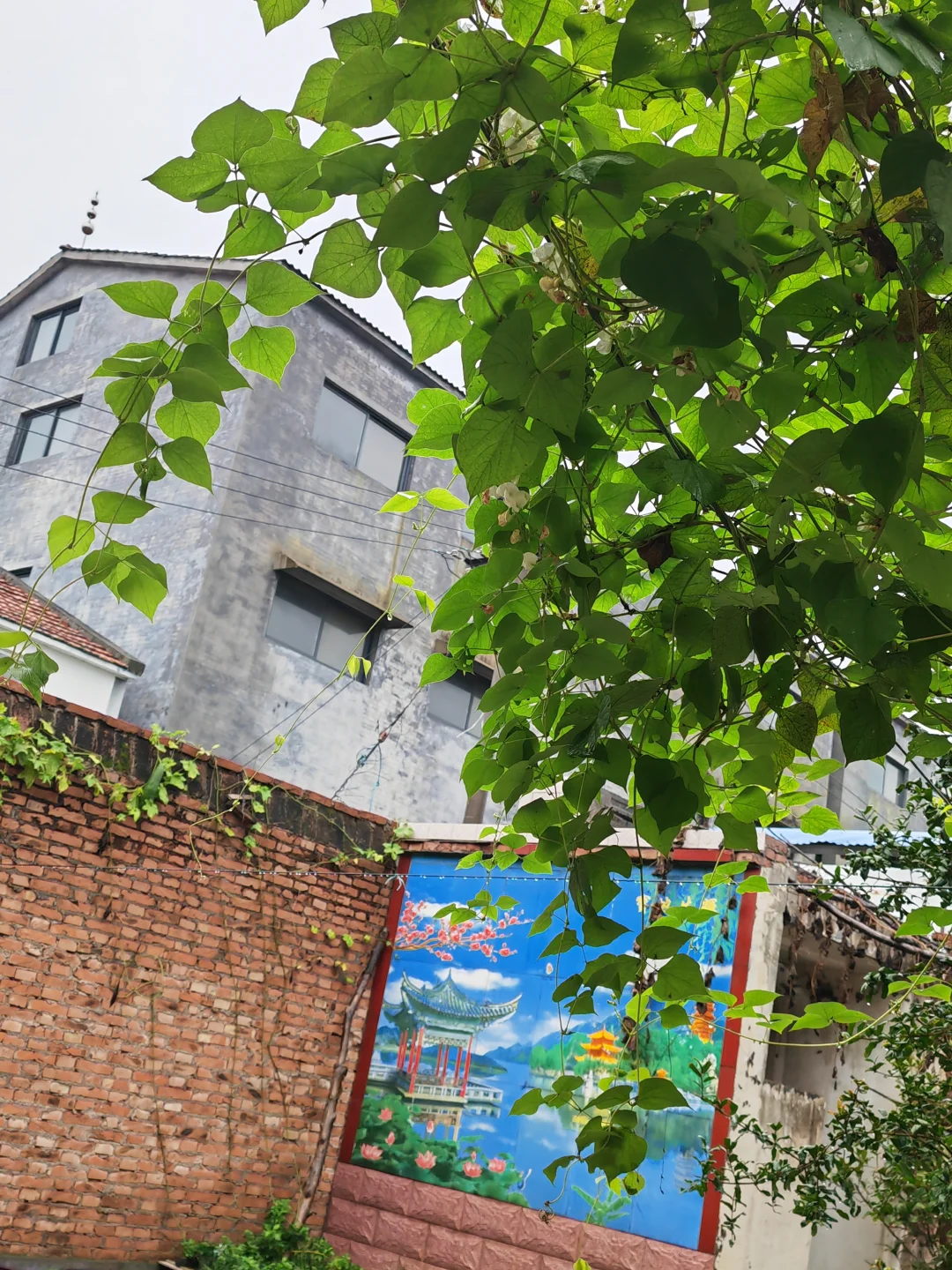 0经验面试稀缺岗位 | 海外运营篇（二）