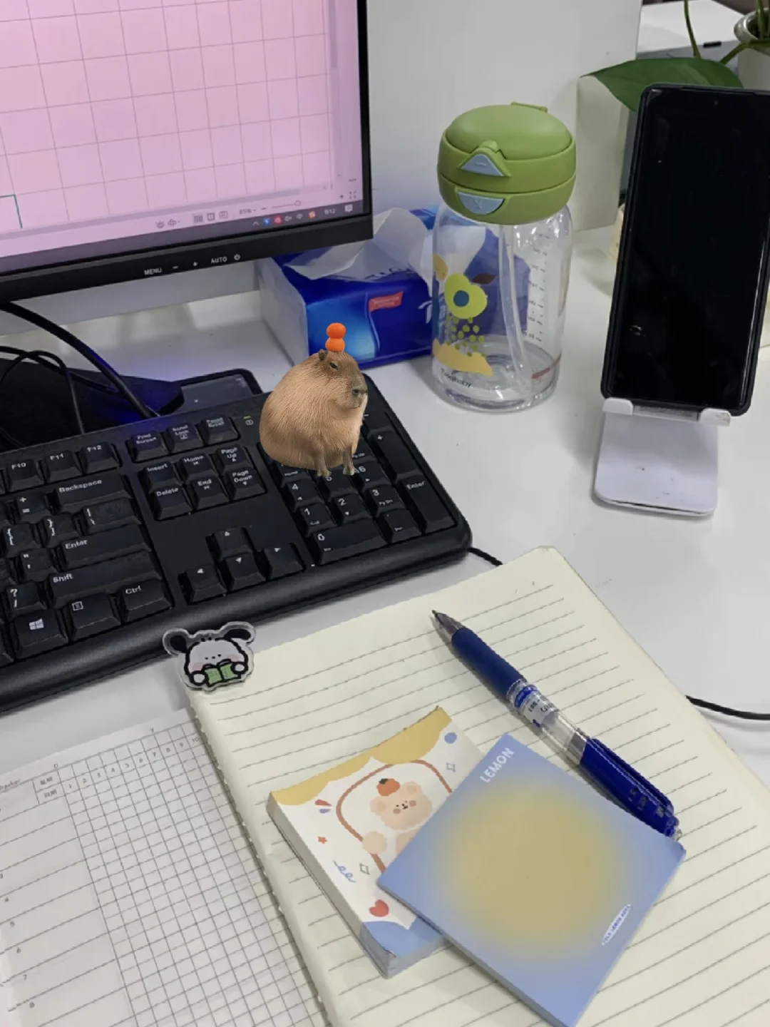软件测试实习半个月了，天天就是写用例...