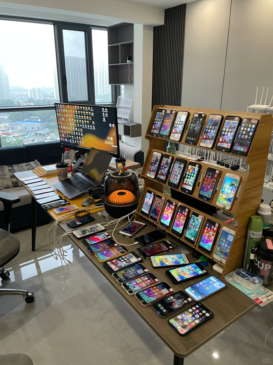 🌼1W轻创业，发誓一定要出人头地‼️