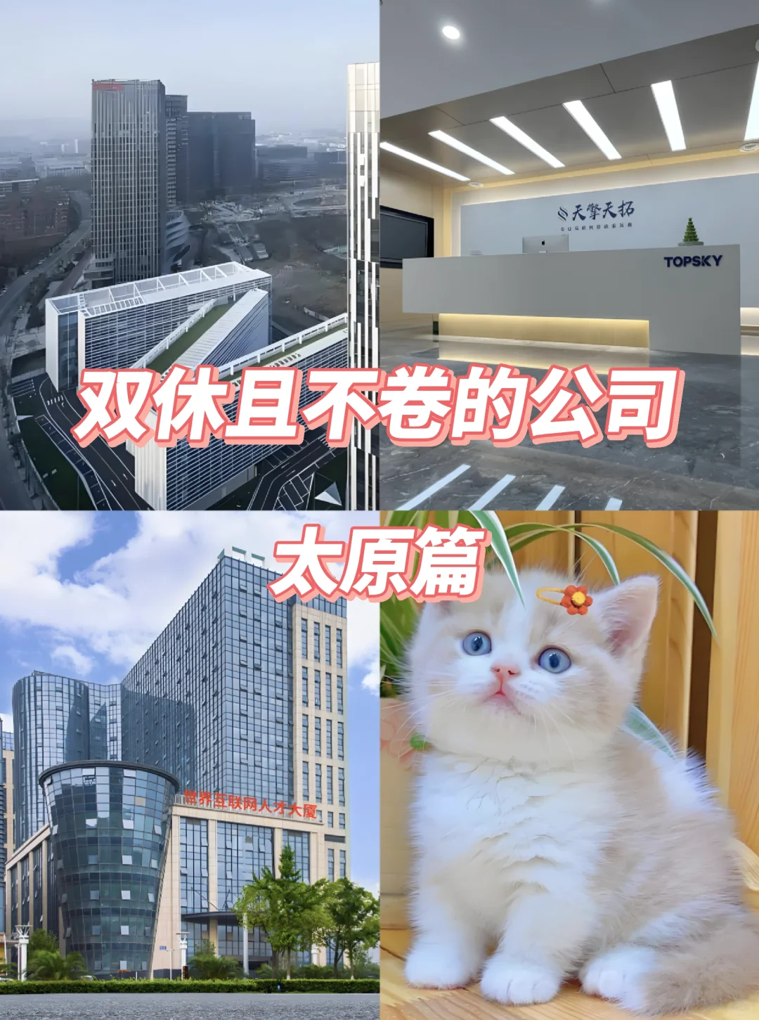太原双休不卷公司清单！这波福利我酸了！