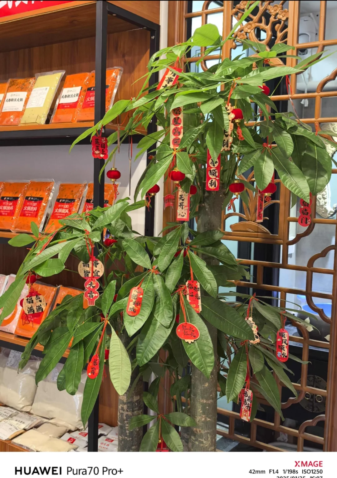 沈阳招聘｜找工作的快来看！