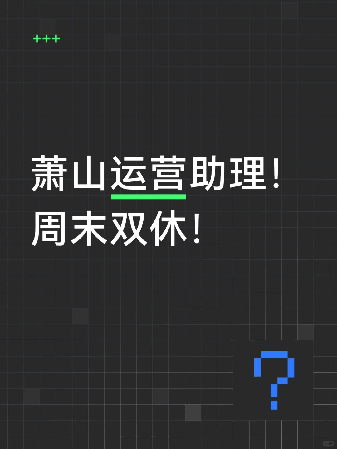 急招一位运营助理