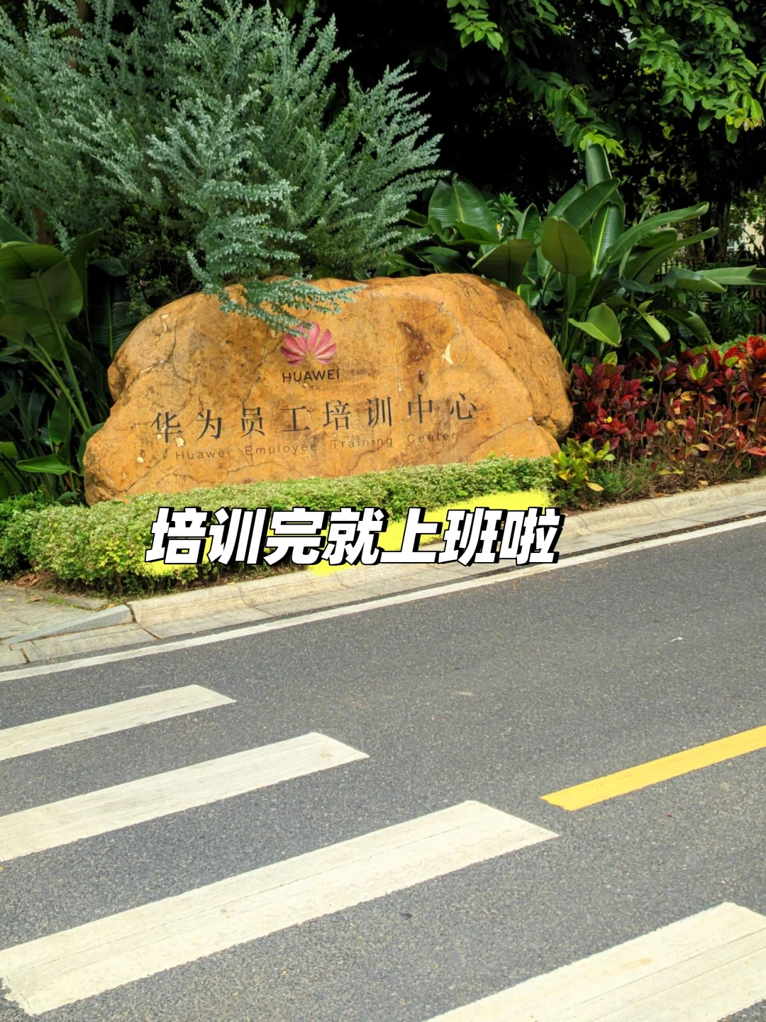 华为招人啦！！