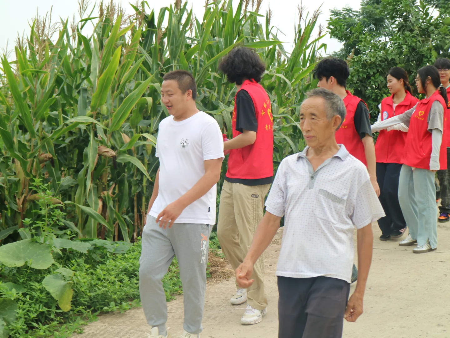 科技赋能田间地头，实干托起乡村未来