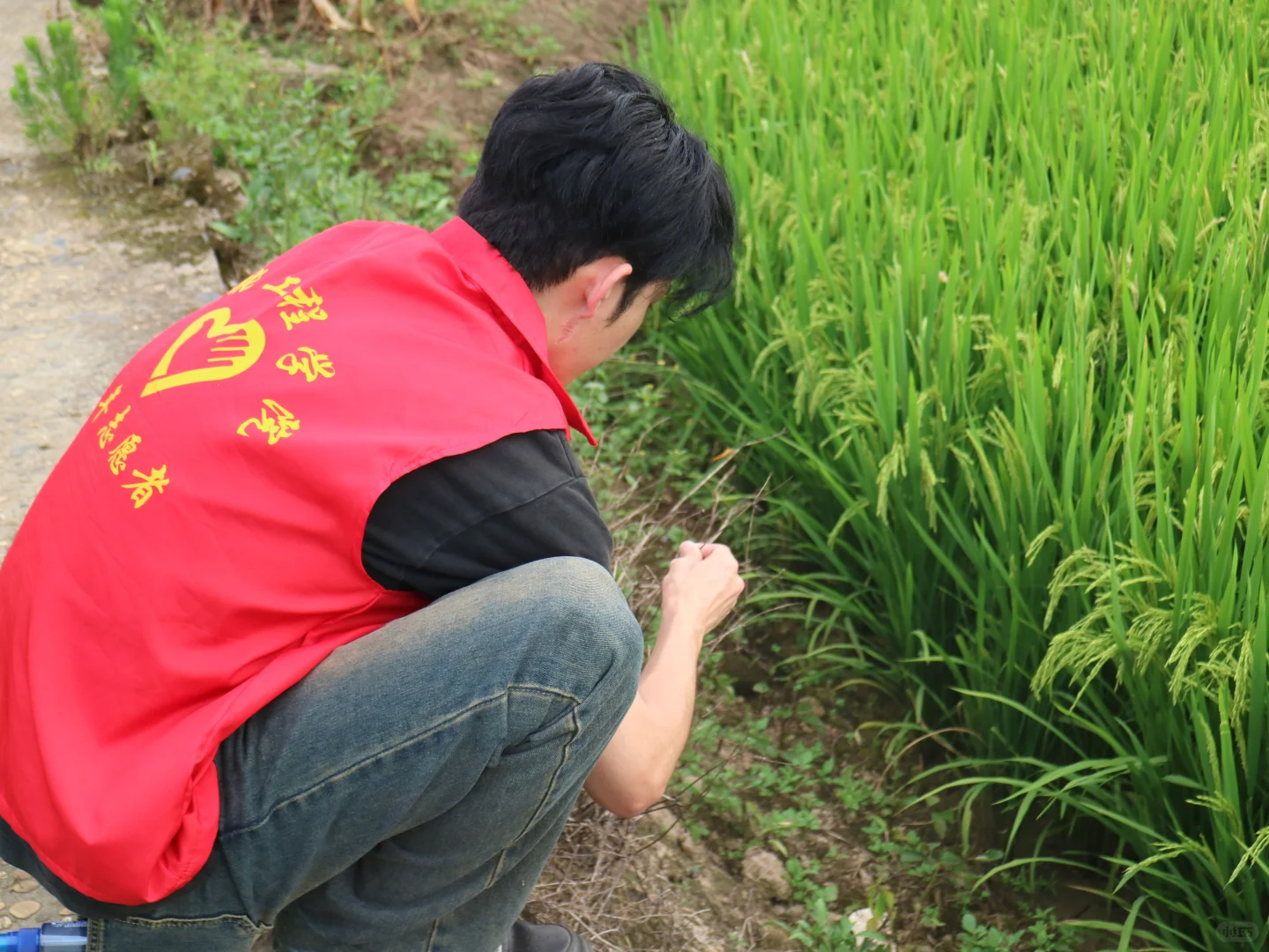 科技赋能田间地头，实干托起乡村未来