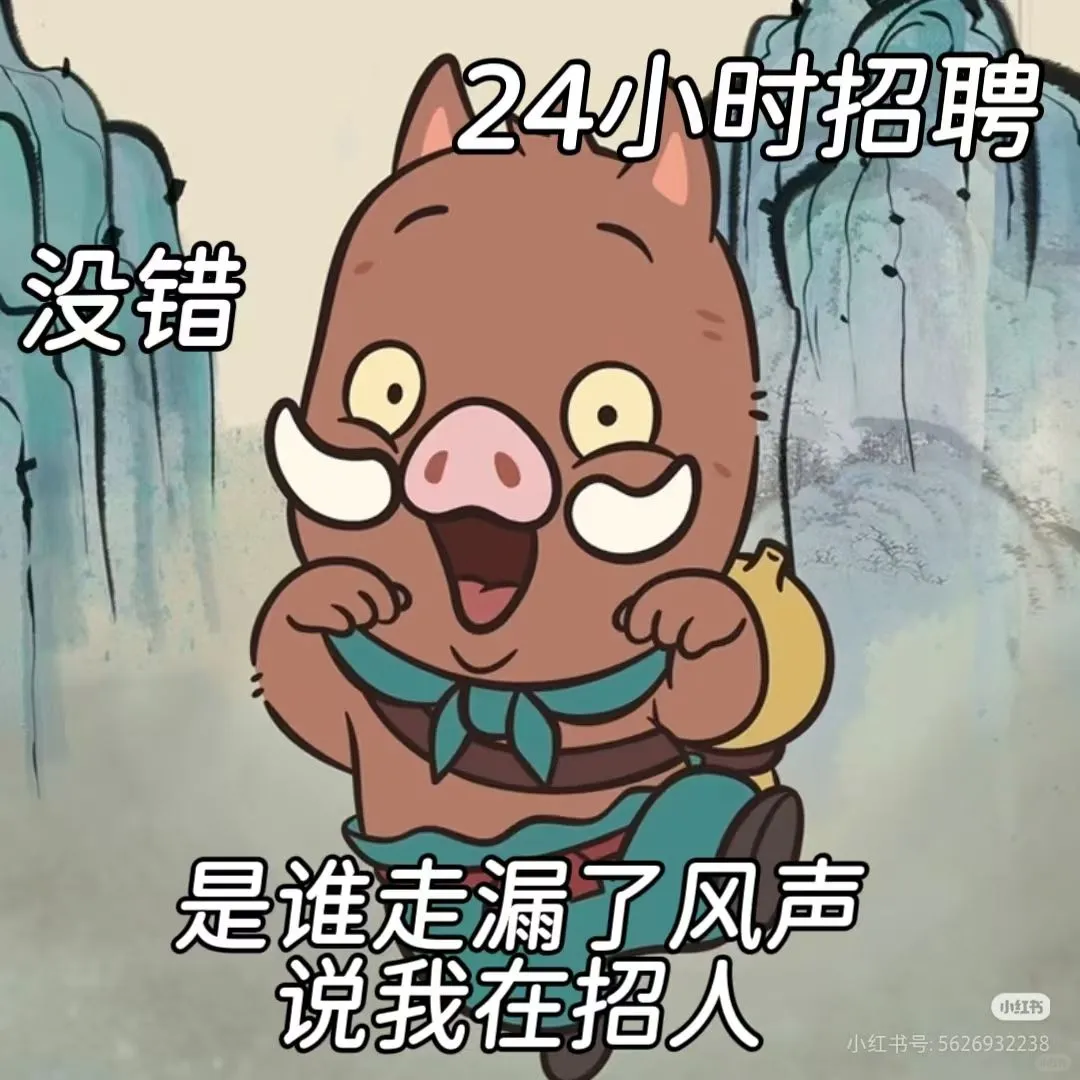 招聘汽车主播了！
