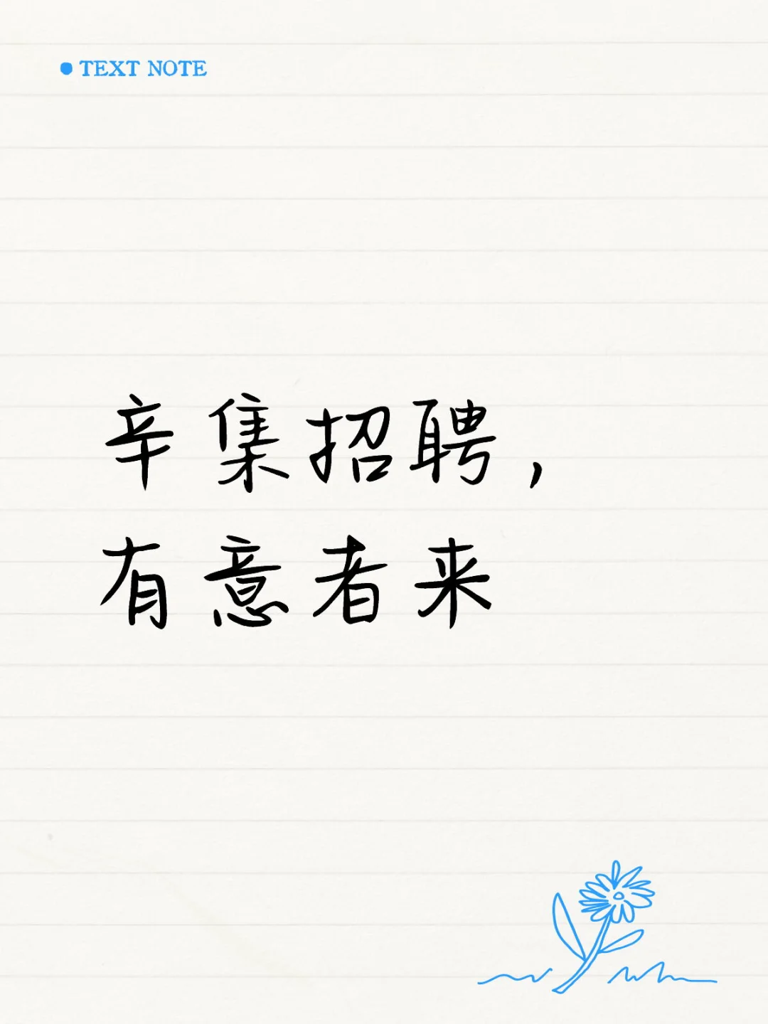 辛集招聘,主播+线上销售 有意者si